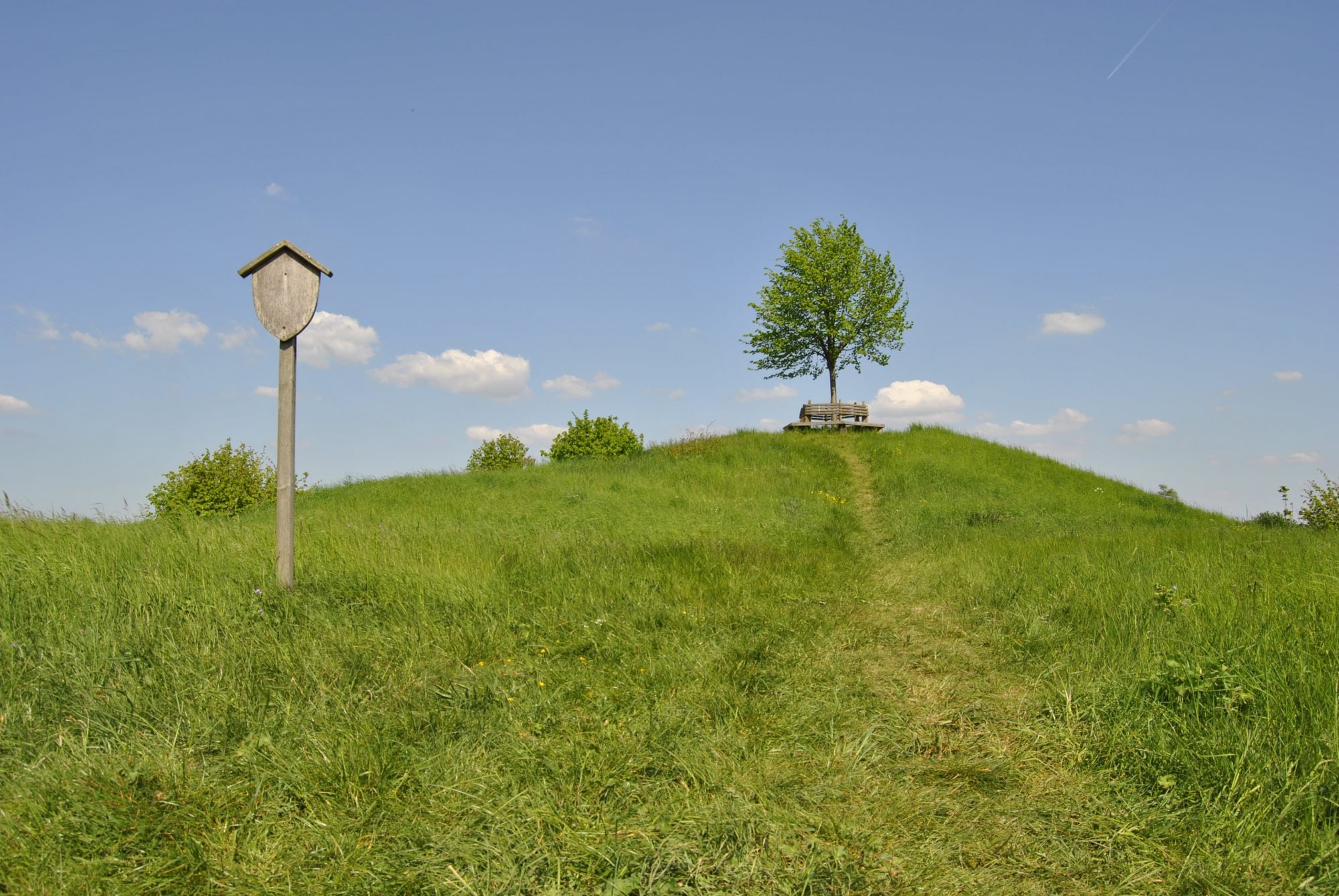 Der Tumulus vor Berklingen  (1)