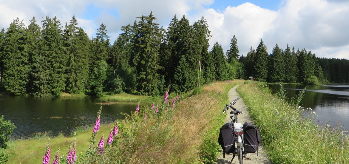 Sommergefühle an der Innerste – eine Tour mit dem Zweirad auf dem Innerste-Radweg