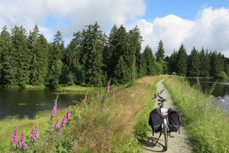 Sommergefühle an der Innerste – eine Tour mit dem Zweirad auf dem Innerste-Radweg