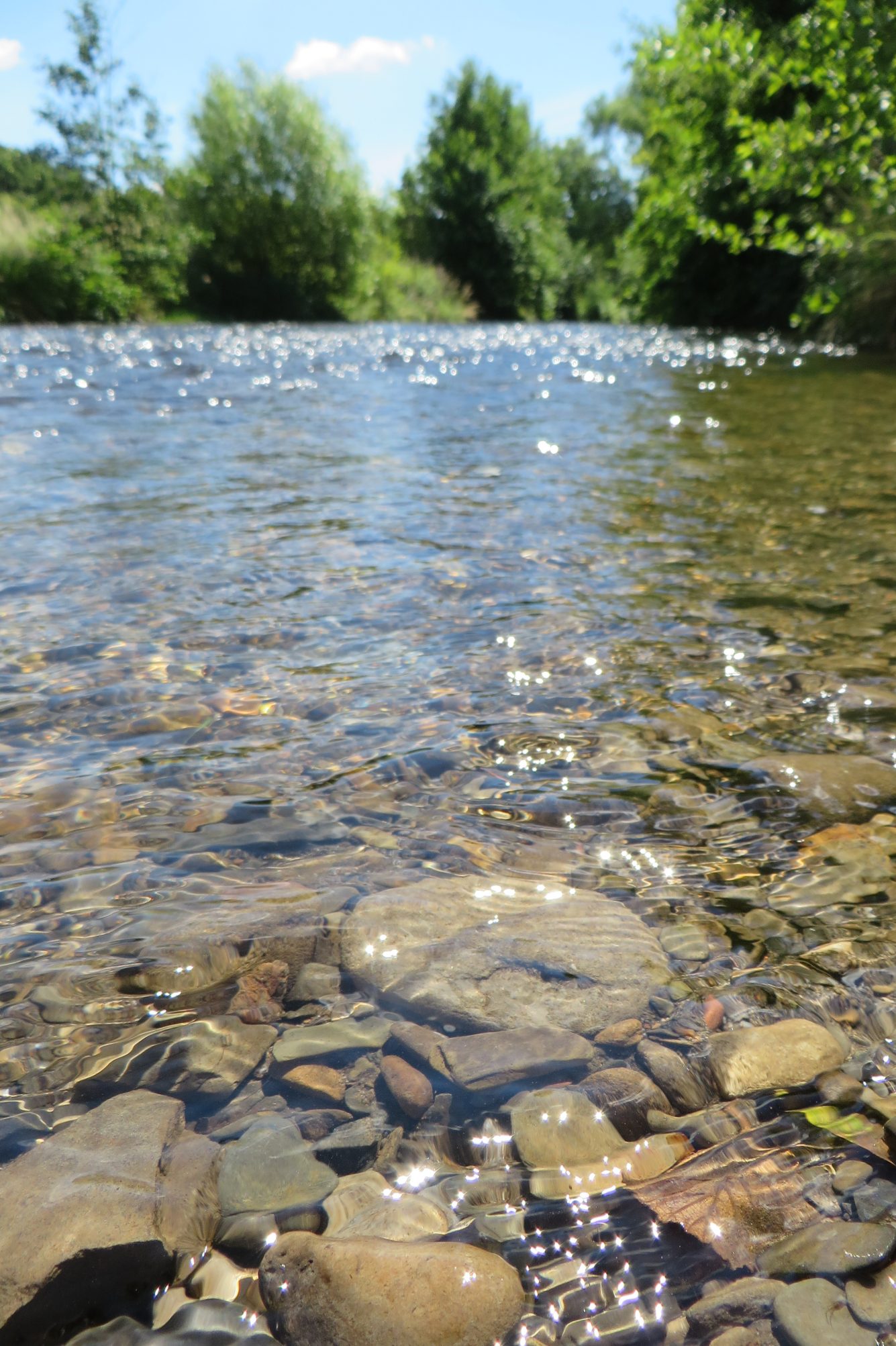Herrlich klares Wasser