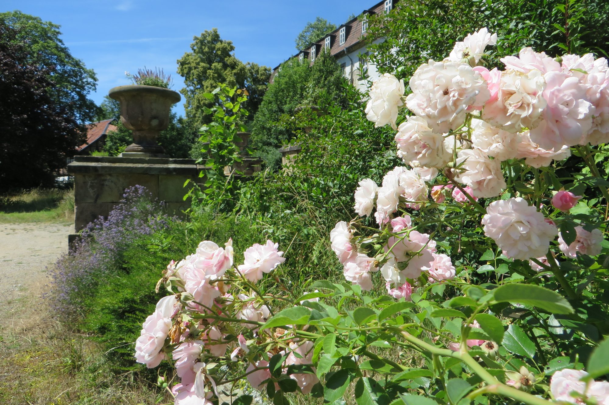 Schloss Ringelheim