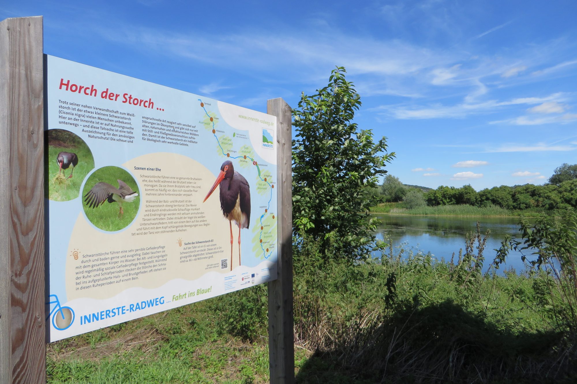 Vogelschutzgebiet bei Baddeckenstedt