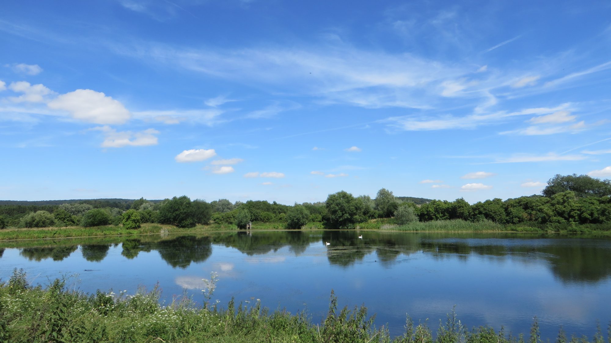 Vogelschutzgebiet Baddeckenstedt