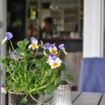 Roadtrip Mühlenstraße