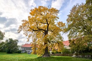 Eine Woche im Nördlichen Harzvorland