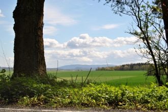 Frühlingsspaziergang im Steinbruch Ostlutter Frühlingsspaziergang im Steinbruch Ostlutter