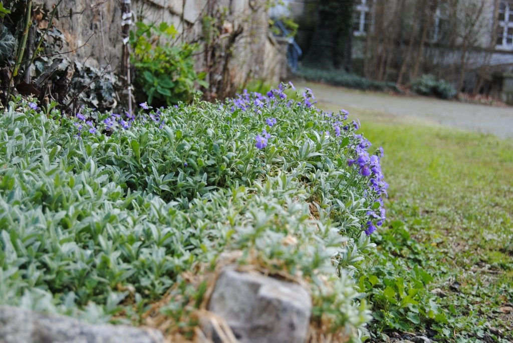 Frühlingserwachen im Schlossgarten!