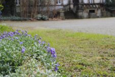 Frühlingserwachen im Schlossgarten!