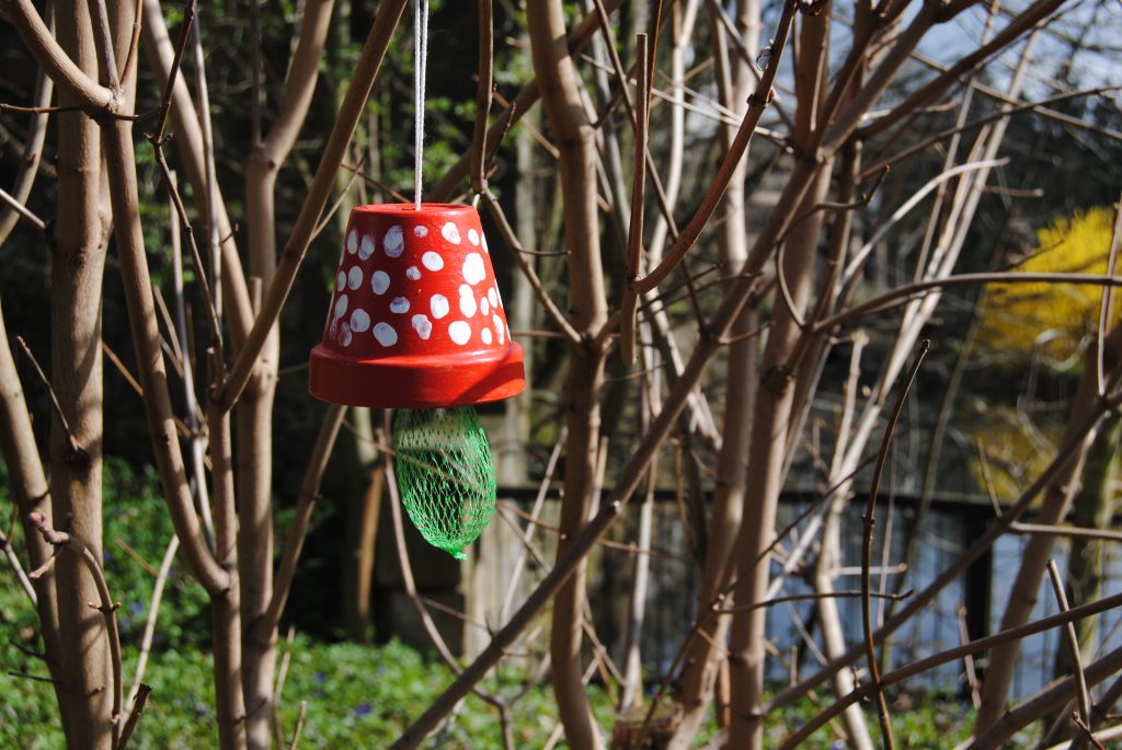 Frühlingserwachen im Schlossgarten!