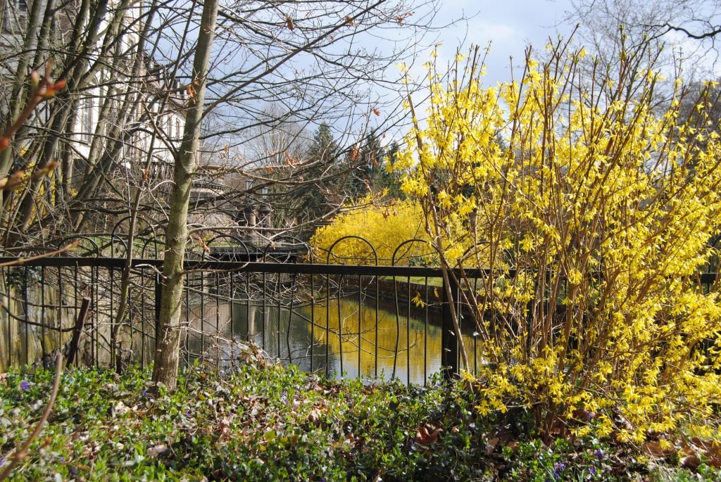 Frühlingserwachen im Schlossgarten!