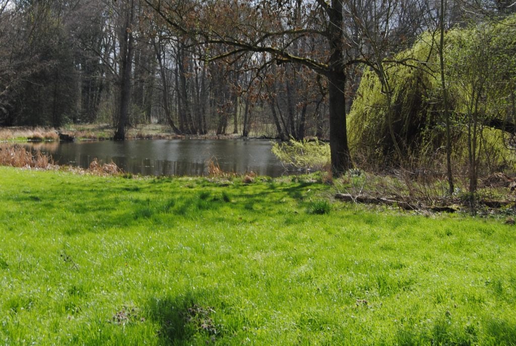 Frühlingserwachen im Schlossgarten!