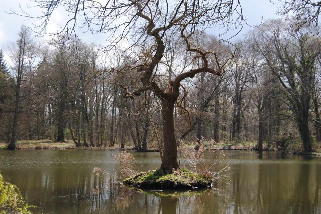 Frühlingserwachen im Schlossgarten!