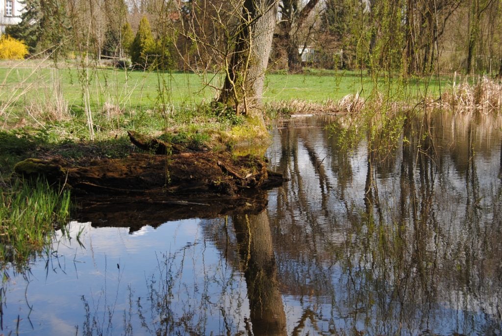 Frühlingserwachen im Schlossgarten!