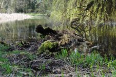 Frühlingserwachen im Schlossgarten!