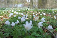 Frühlingserwachen im Schlossgarten!