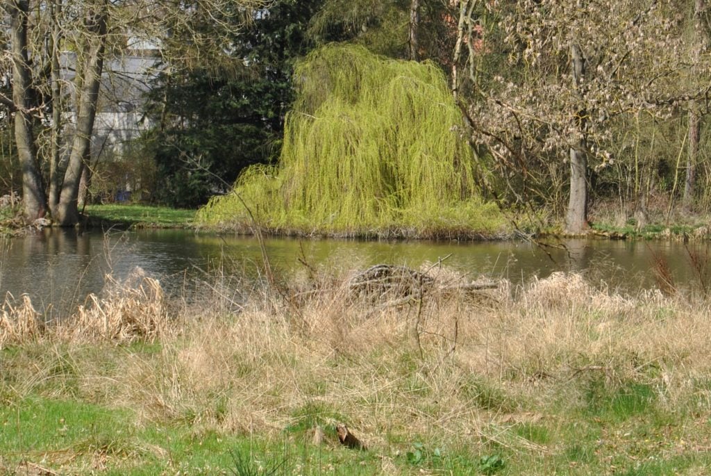Frühlingserwachen im Schlossgarten!