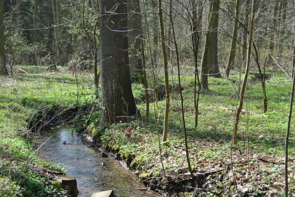 Frühlingserwachen im Schlossgarten!