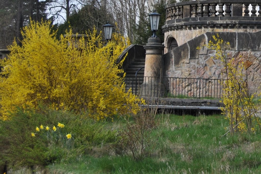 Frühlingserwachen im Schlossgarten!