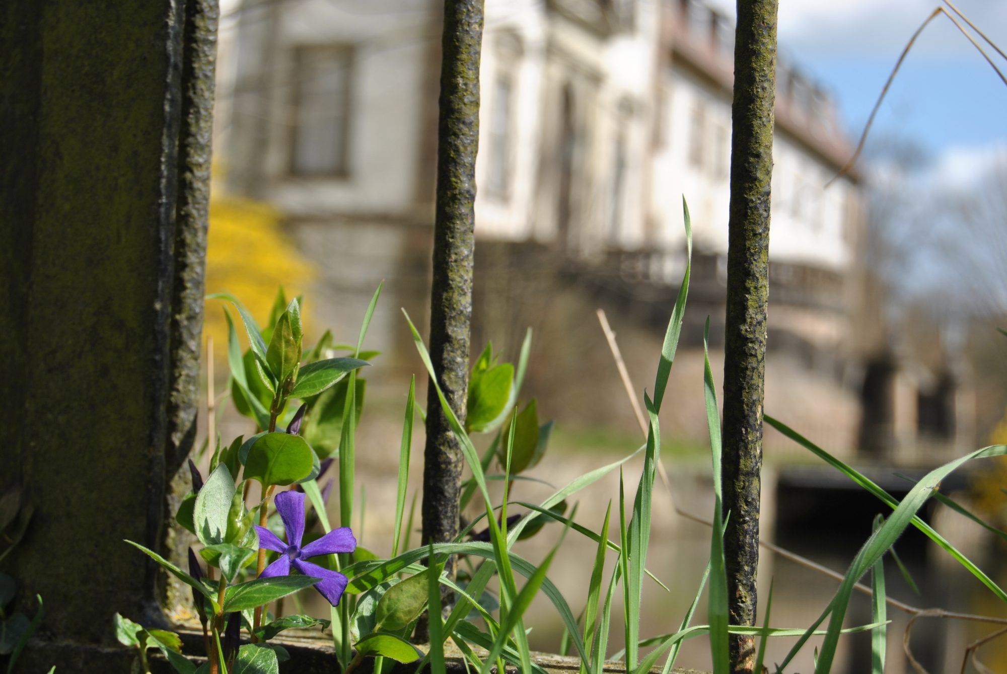 Frühlingserwachen im Schlossgarten!