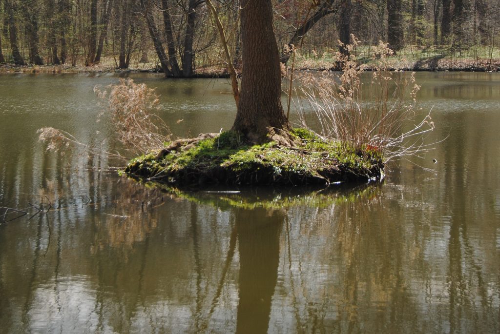 Frühlingserwachen im Schlossgarten!