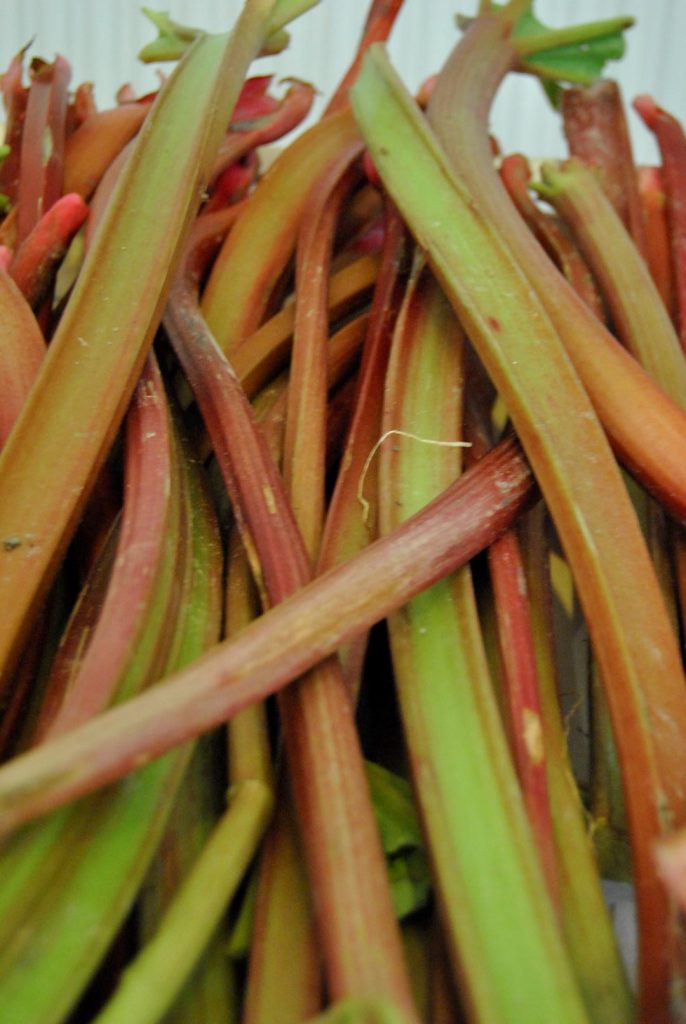 Spargel – Genuss aus dem Nördlichen Harzvorland