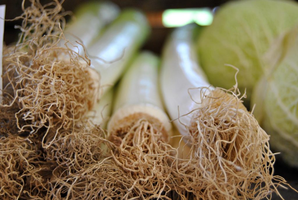 Spargel – Genuss aus dem Nördlichen Harzvorland