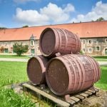 Teil 2: Auf Landpartie im Nördlichen Harzvorland