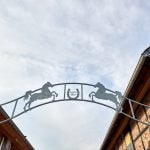 Teil 2: Auf Landpartie im Nördlichen Harzvorland