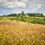 Teil 2: Auf Landpartie im Nördlichen Harzvorland
