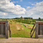 Teil 2: Auf Landpartie im Nördlichen Harzvorland