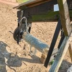 Teil 3: Auf Landpartie im Nördlichen Harzvorland