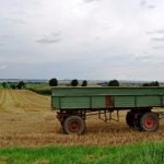 Ein Bayer im Nördlichen Harzvorland - Servus!
