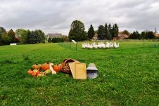 Gänsejagd und Bienenzucht im Nördlichen Harzvorland - Regionale Produkte aus Barnstorf