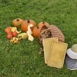 Gänsejagd und Bienenzucht im Nördlichen Harzvorland - Regionale Produkte aus Barnstorf