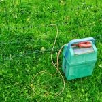 Gänsejagd und Bienenzucht im Nördlichen Harzvorland - Regionale Produkte aus Barnstorf