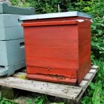 Gänsejagd und Bienenzucht im Nördlichen Harzvorland - Regionale Produkte aus Barnstorf
