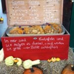 Gänsejagd und Bienenzucht im Nördlichen Harzvorland - Regionale Produkte aus Barnstorf
