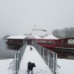 Weihnachtszeit im Nördlichen Harzvorland