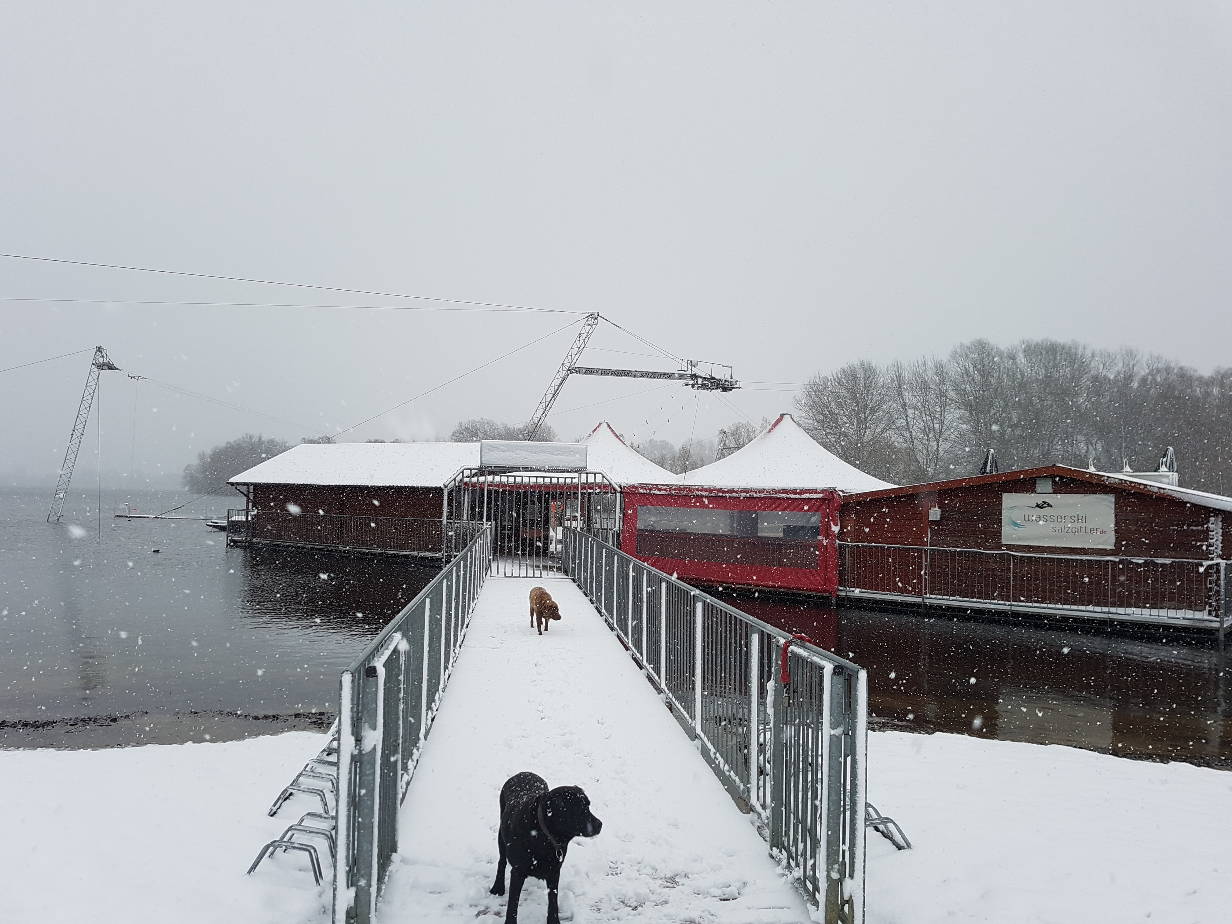 Weihnachtszeit im Nördlichen Harzvorland