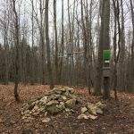 Zum Steinkistengrab und auf den höchsten Gipfel des Elms
