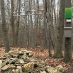 Zum Steinkistengrab und auf den höchsten Gipfel des Elms