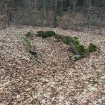 Zum Steinkistengrab und auf den höchsten Gipfel des Elms