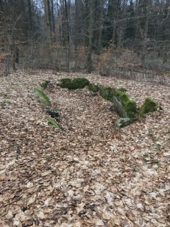 Noerdliches_Harzvorland_Reitlingstal_Elm_Eilumer_Horn_Steinkistengrab_1 Zum Steinkistengrab und auf den höchsten Gipfel des Elms