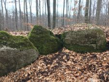 Noerdliches_Harzvorland_Reitlingstal_Elm_Eilumer_Horn_Steinkammergrab_3 Zum Steinkistengrab und auf den höchsten Gipfel des Elms