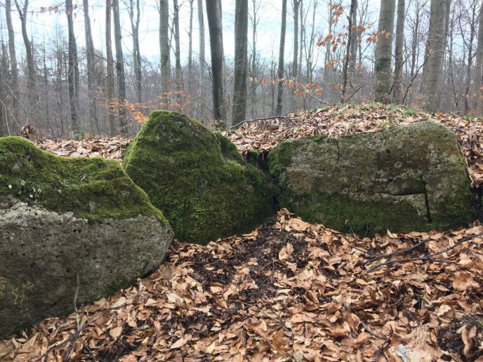 Zum Steinkistengrab und auf den höchsten Gipfel des Elms