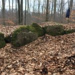 Zum Steinkistengrab und auf den höchsten Gipfel des Elms