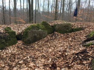 Noerdliches_Harzvorland_Reitlingstal_Elm_Eilumer_Horn_Steinkammergrab_4 Zum Steinkistengrab und auf den höchsten Gipfel des Elms