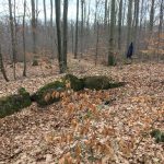 Zum Steinkistengrab und auf den höchsten Gipfel des Elms