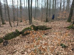 Zum Steinkistengrab und auf den höchsten Gipfel des Elms