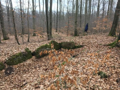 Noerdliches_Harzvorland_Reitlingstal_Elm_Eilumer_Horn_Steinkammergrab_5 Zum Steinkistengrab und auf den höchsten Gipfel des Elms